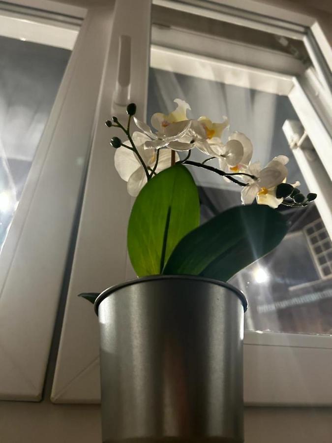 Lvm Apartments Zagreb Ngoại thất bức ảnh
